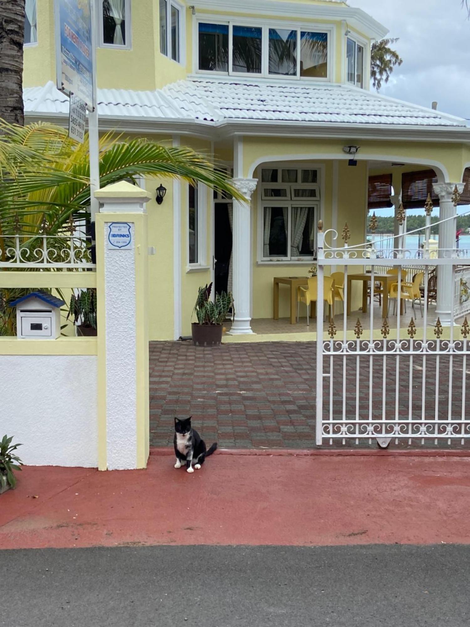 Villa Bella Charming Beachfront Guesthouse ブルー・ベイ エクステリア 写真